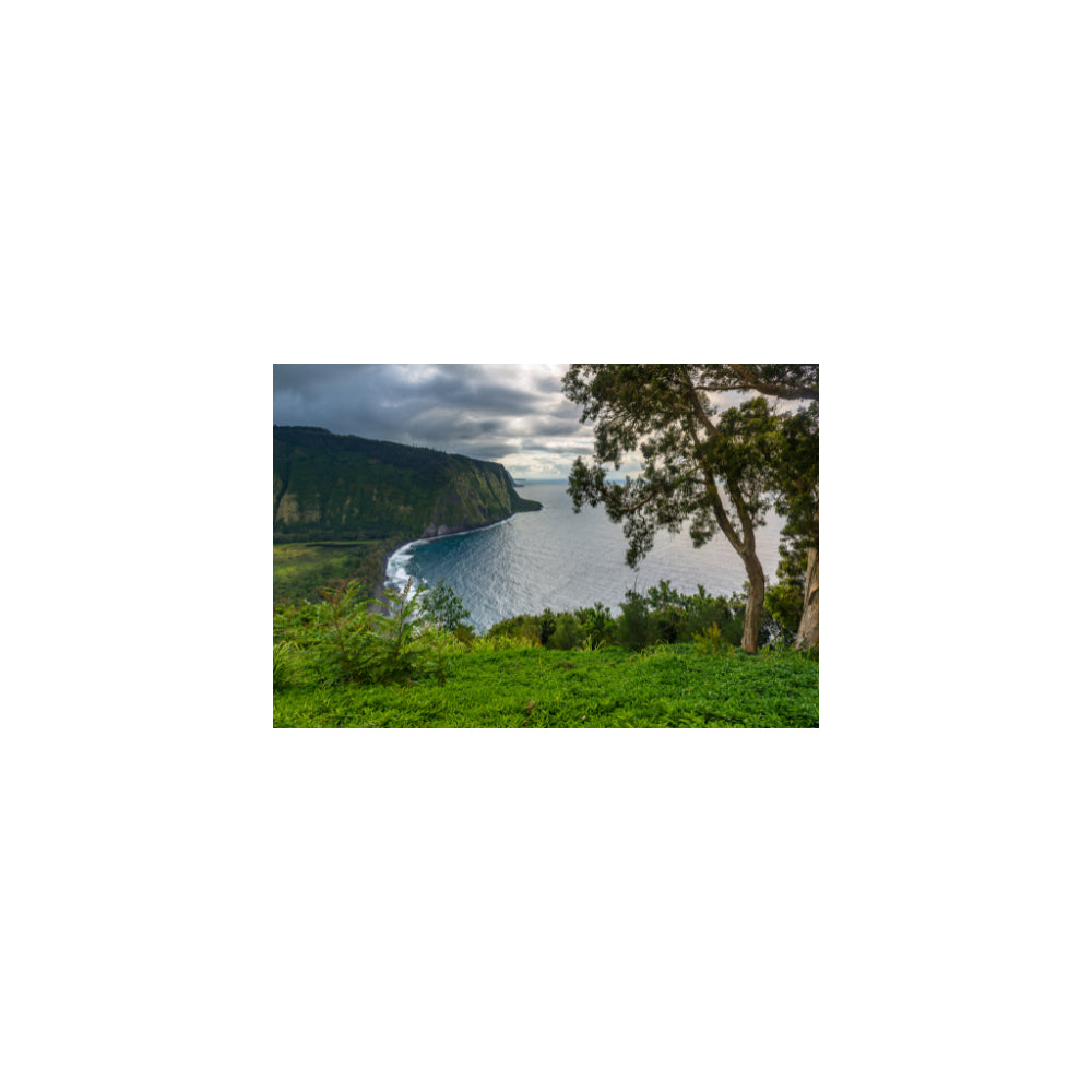 BIG ISLAND HAWAII, Natural Body Soap for Women